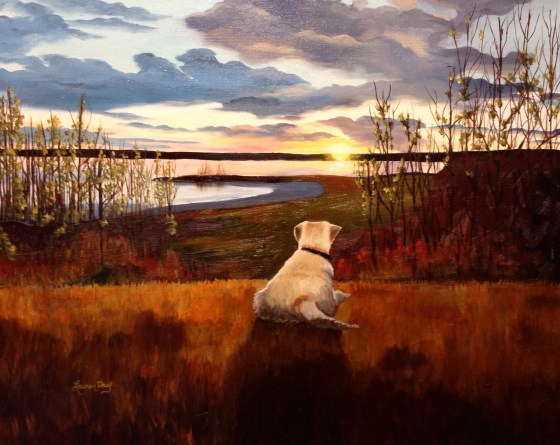 Amigo's Last Adventure